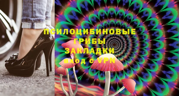 мяу мяу мука Магадан