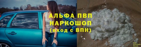 прущие крисы Магас