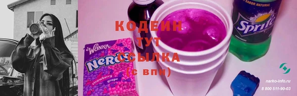 твердый Богданович