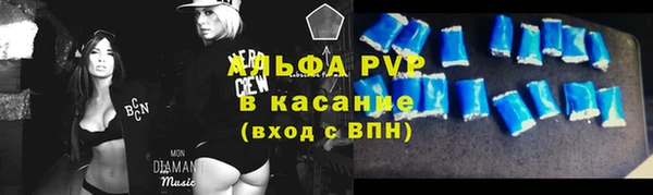 твердый Богданович