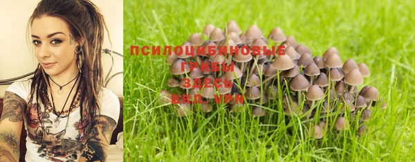 ешки Мегион