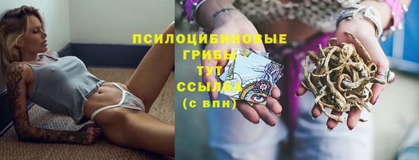 прущая мука Медвежьегорск