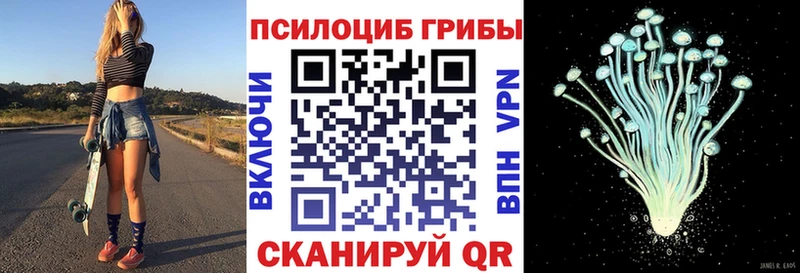Псилоцибиновые грибы прущие грибы  Весьегонск 
